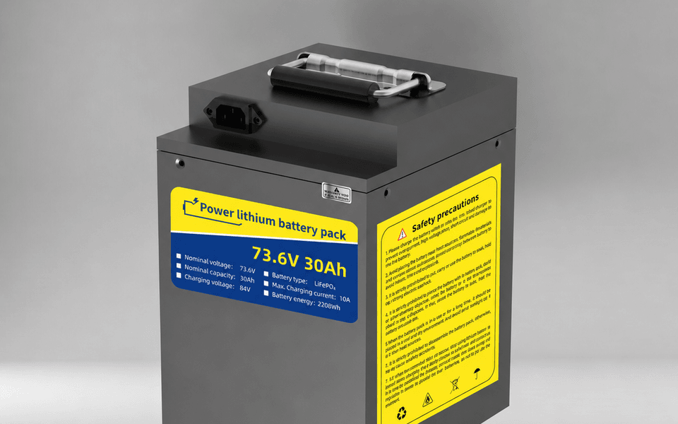 73.6V 30Ah Two-Wheel Electric Vehicle Battery