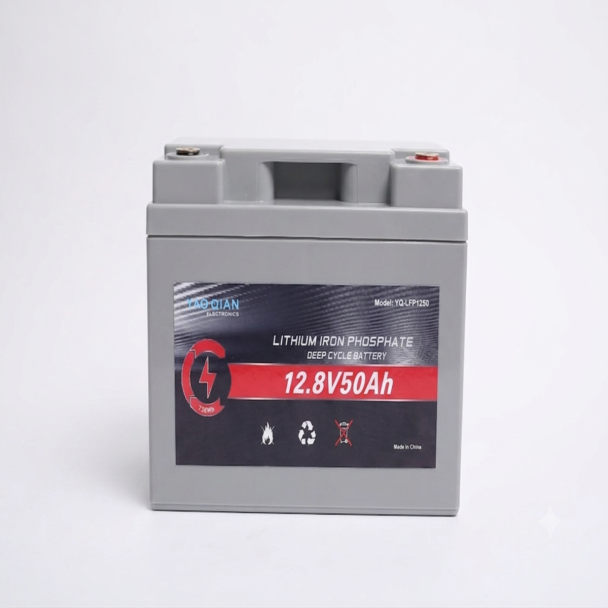 12.8V 50Ah LiFePO4 Lithium Battery